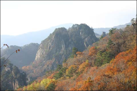 늦가을의 주전골 경치 